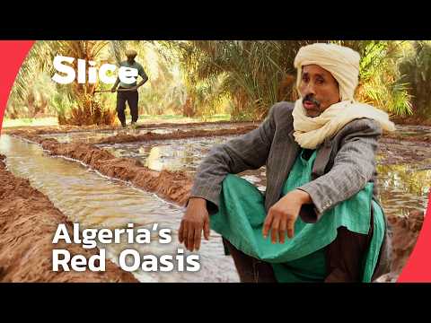 YouTube video thumbnail: Timimoun’s Fight to Preserve Algeria’s Most Iconic Oasis Way of Life