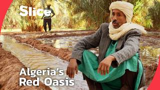 YouTube video thumbnail: Timimoun’s Fight to Preserve Algeria’s Most Iconic Oasis Way of Life