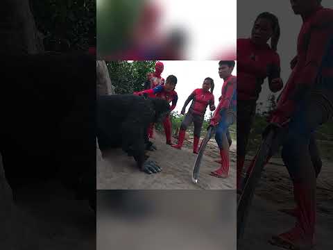 Spiderman vs Monster