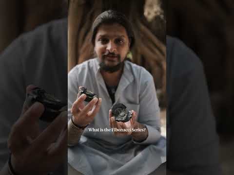 Rarest Form Of VISHNU BHAGWAN Worship - Shaligram #shorts