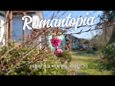 제주섬 동남쪽 중산간 마을 가시리에 위치한 제주 민박 로만토피아 봄이 오는 길목에서