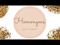 Understanding Homonyms and Contextual Meanings