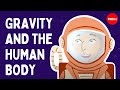Effects of Weightlessness on Physiology