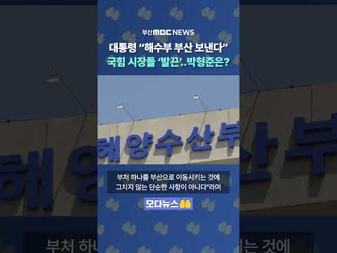 해수부 부산 간다는 말에 국힘 소속 시장들 '발끈', 박형준 시장은? | 모다뉴스🤲