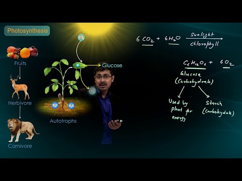 Life Process | Nutrition, Mode of Nutrition and Photosynthesis | CBSE Class 10 Science | Biology