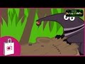 Anteater Behavior and Diet