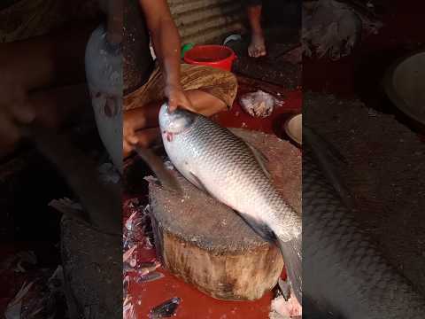 Amazing rohu fish cutting skills (533) 🐬😱 #shorts