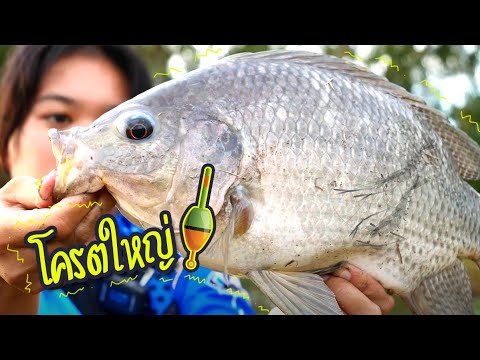 ดักกุ้งฝอย ตกปลา พอฝูงเข้า  สนุกเลย | เด็กตกปลา