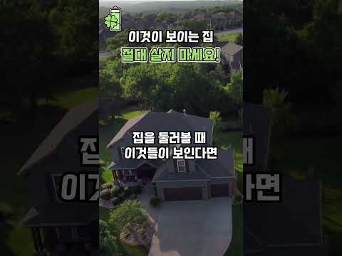 이것이! 보이는 집은 '절대' 살지 마세요 💰🍀 #풍수 #사주 #풍수지리 #부와행운