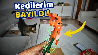 Kedilere Aldığım En İyi Oyuncak 😍