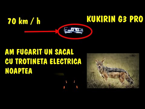 🤣Am fugit după un ȘACAL pe câmp cu Kukirin G3 PRO și Aproape am salvat un cățeluș de pe șosea.. 🥲