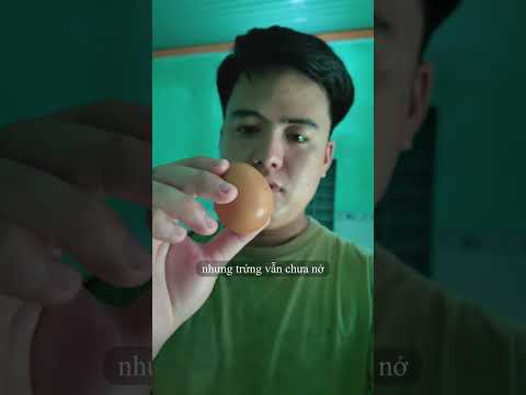 egg-1