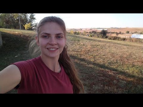 Finishing Beans and Fixin' Things | Fall Farmathon Episode 12