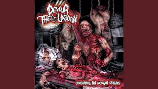 Womb Full of Maggots