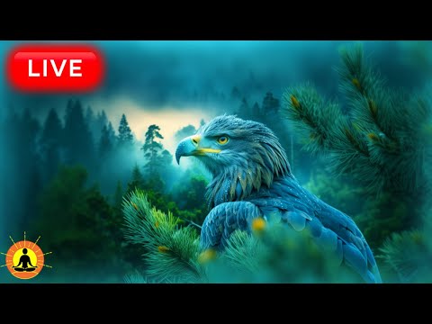 &#128308; Calming Nervous System Music 24/7 - Relax Immediately | Helps Cure Anxiety &amp; Depressive States