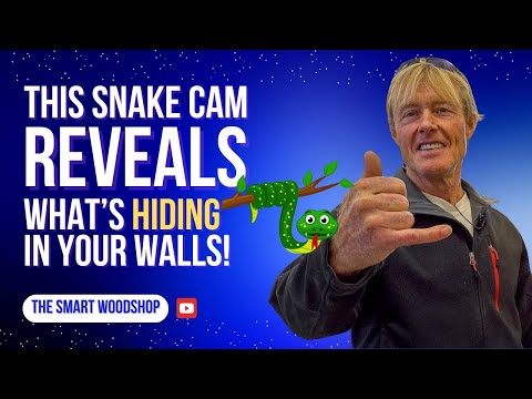 I Found This in My Truck Vent — Wish I Had This Snake Cam Sooner. 🤮