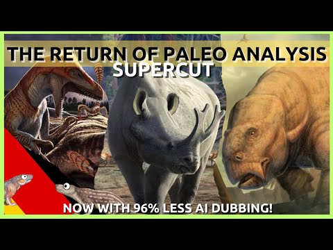 The Return of Paleo Analysis SUPER CUT