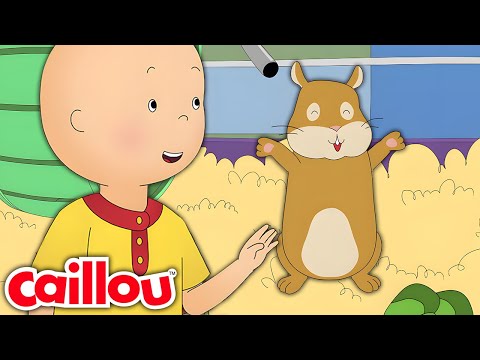 Caillou's Klasse Haustier | Die Neuen Abenteuer von Caillou | Staffel 3: Folge 21