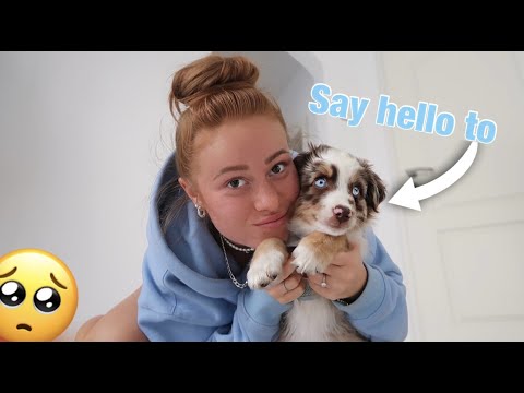 say hello to..?🐶