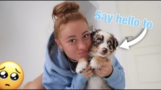 say hello to..?🐶