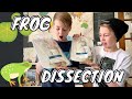 Frog Dissection Procedures and Reactions