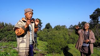 Himalayan nomadic life with their sheep herd in Nepal || shepherd life of Nepal