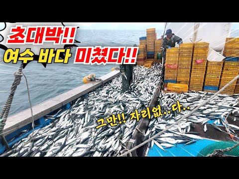 현재 여수 바다 미쳤다!! 물 반 국민생선 반! 제대로 물 만난 정치망 터졌다!!