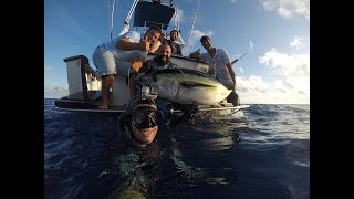 Spearfishing on blue Waters for Big Tunas