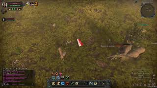 Что делать когда тиммейт с Гильдии братков а ента охота завалить?