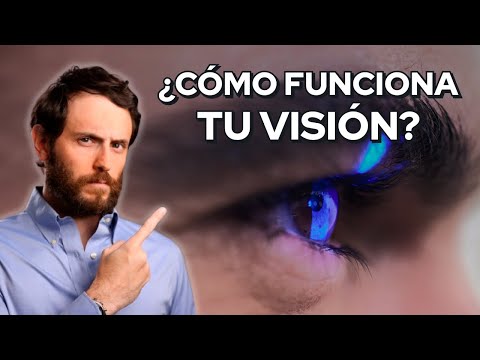 Cómo Cuidar tu Visión y Evitar las Gafas/Anteojos