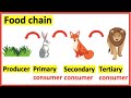 Exploring Food Chain Dynamics: Producers and Consumers