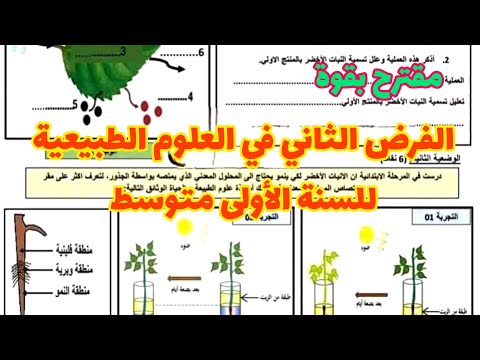 الفرض الثاني في العلوم الطبيعية للسنة الأولى متوسط شامل