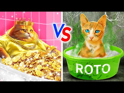 ¡Gatito Pobre vs Gato Rico! *No llores, lindo gatito* Construí una casa pequeña para mis mascotas