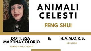 Animali Celesti nel Feng Shui