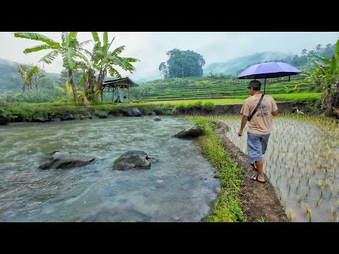 MASYA ALLAH TIDAK DI SANGKA😍 Seenak Ini Datang Ke Kampung Yang Indah Pemandangan Alam Desanya