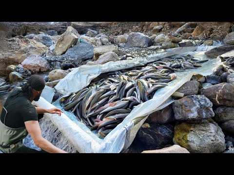 The Simplest Fishing Techniques / Fishing / Big fish