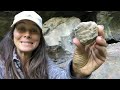 Geological Concepts and Fossil Dating