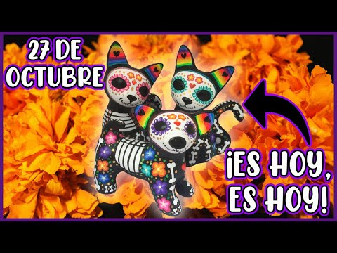 ¿Por Qué Se Cree Que Nuestras Mascotas Regresan El 27 De Octubre? - SiamCatChannel