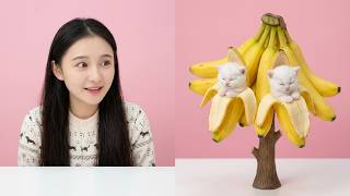Tiny kittens growing inside bananas? The cutest magical fruit tree!