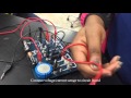 Voltage, Current, and Resistance Concepts