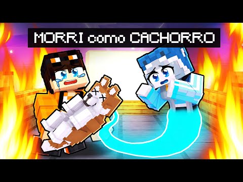 LAYSA MORREU e VOLTOU como CACHORRO no MINECRAFT!