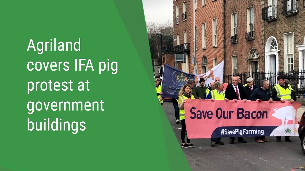 Agriland Covers IFA Pig Protest at Government Buildings