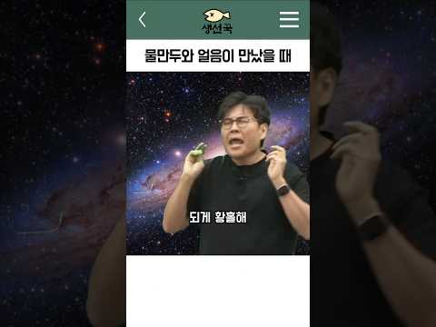 물만두와 얼음이 만났을 때(물만두 먹는 특강)