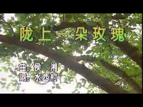 吳鶯音 – 隴上一朵玫瑰