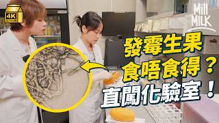 #MM｜生果發霉切走都可能有毒？直闖化驗室 測發霉生果剩餘部分有幾污糟！霉菌肉眼未必可見 變腍發黑或已中招｜#Weekly_pedia #4K