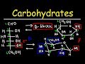 Carbohydrates and Their Structures