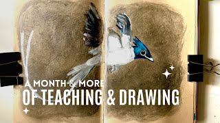 💫 A Month (and more) of Teaching & Drawing 💫 By Kavita Arvind