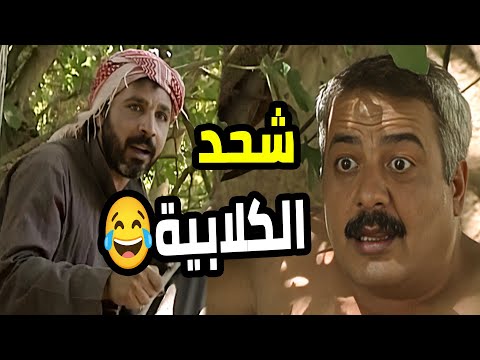 المنحوس سعيد النايحة 😂 شلحوه تيابو وسيارتو بالبرية وتركوه يشحد شقفة كلابية من راعي 😁  بطل من هذا ا