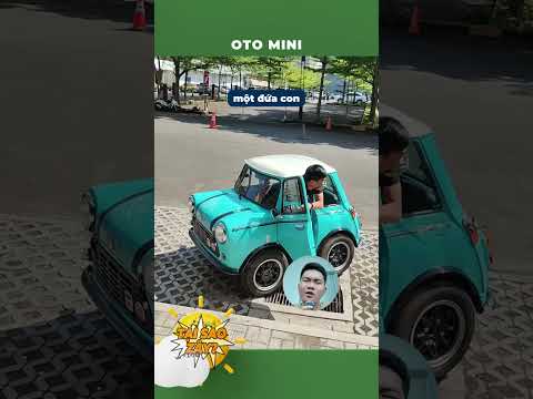 Mấy quả oto mini