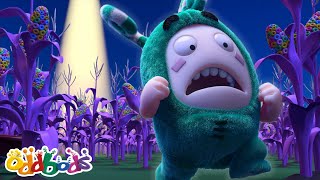 U.F...Oh No! | Oddbods Cartoons | Funny Cartoons For Kids